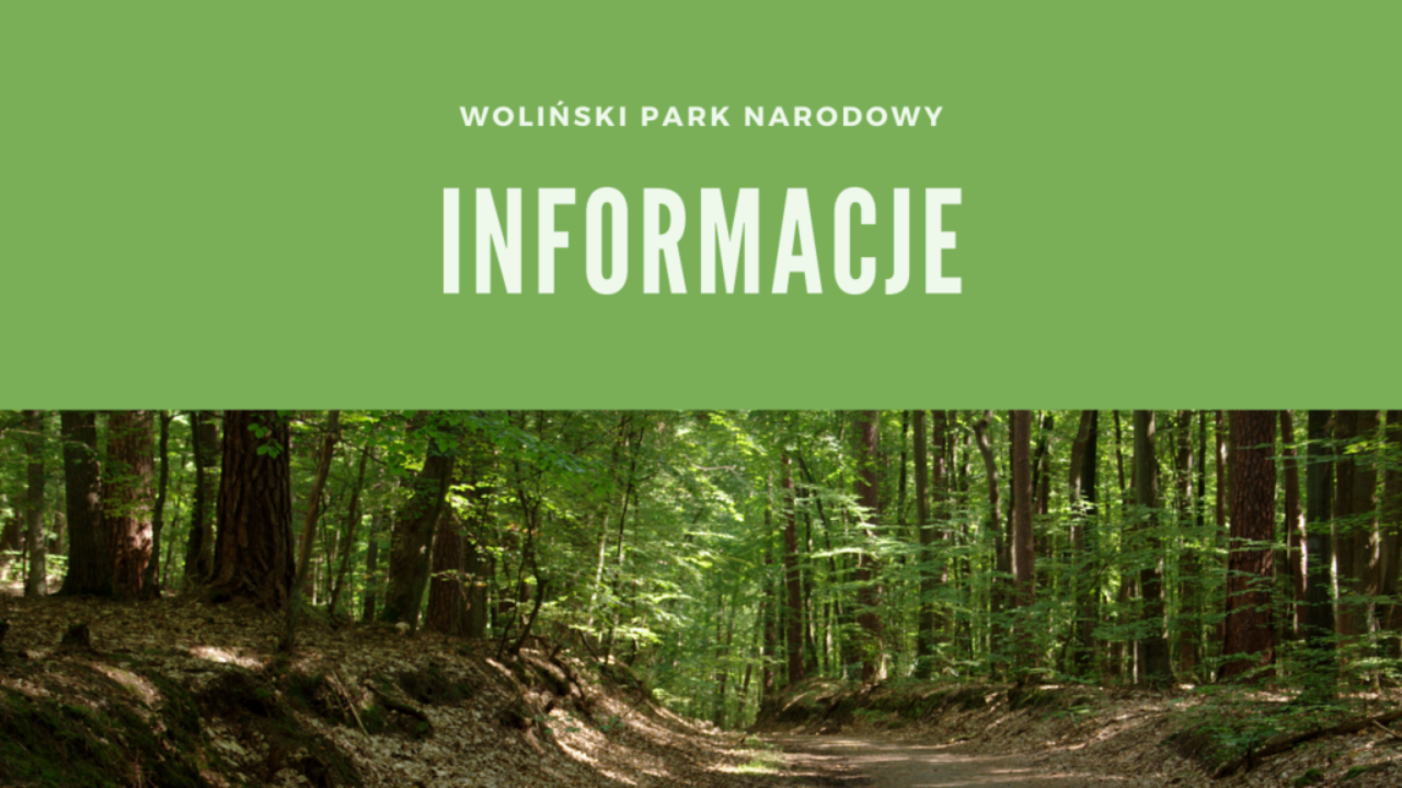 Woliński Park Narodowy Informacje