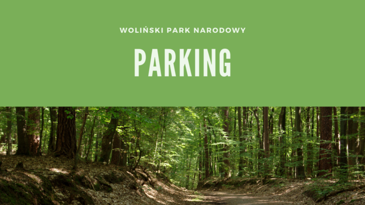 Woliński Park Narodowy Parking