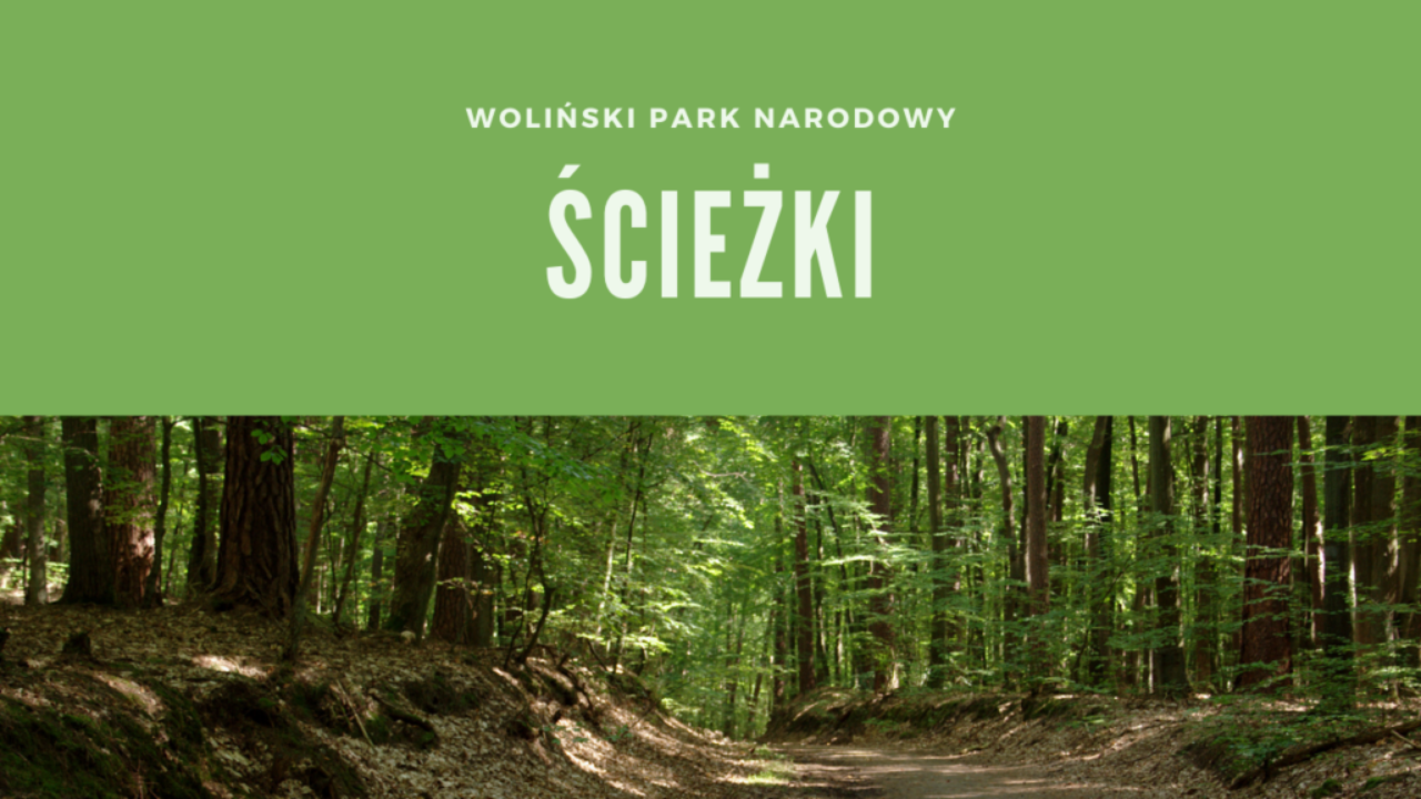 Woliński Park Narodowy Ścieżki